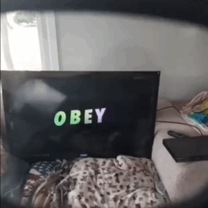 Authentic they Live glasses.